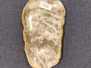 Patera #02324