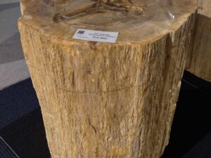 Taboret puf #24045 Taboret puf #24045