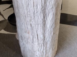 Dekoracja skamieniałe drewno #42004