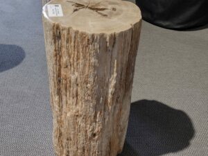 Dekoracja skamieniałe drewno #42027