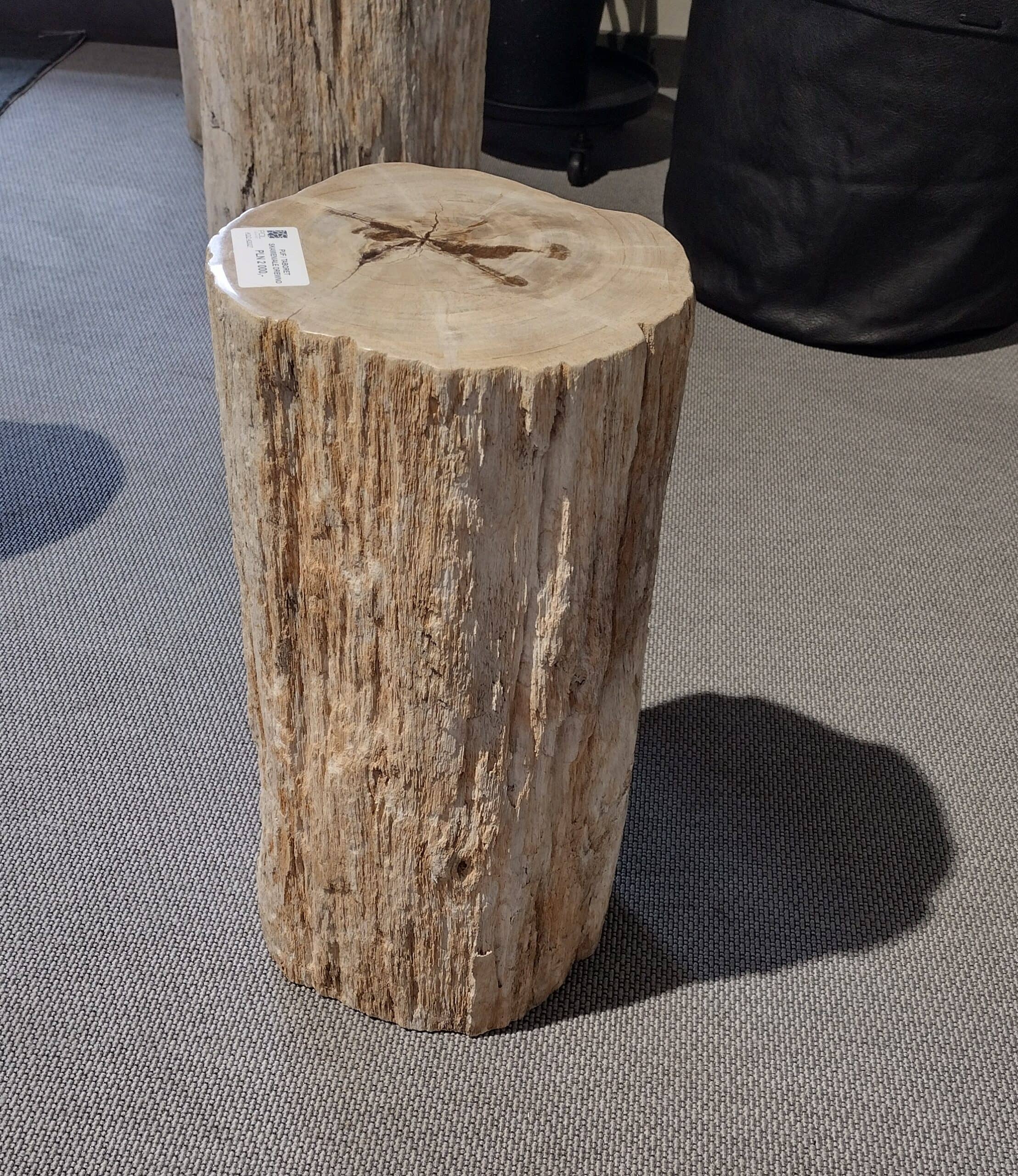 Dekoracja skamieniałe drewno #42027 Dekoracja skamieniałe drewno #42027
