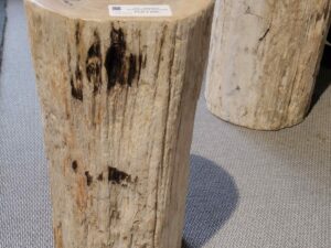 Dekoracja skamieniałe drewno #42028 Dekoracja skamieniałe drewno #42028