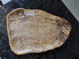 Patera #42068H