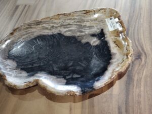 Patera #42069E