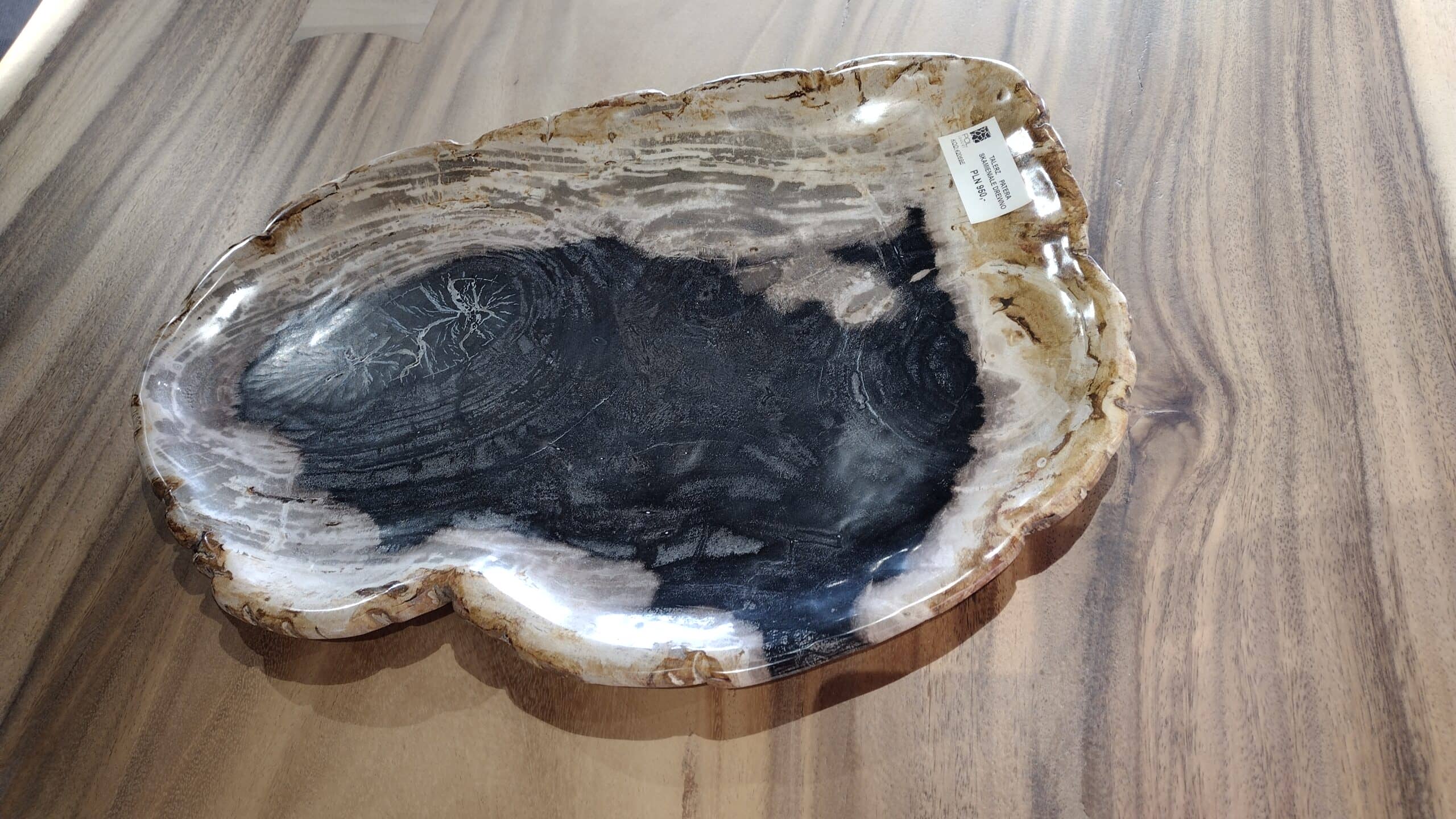 Patera #42069E Patera #42069E