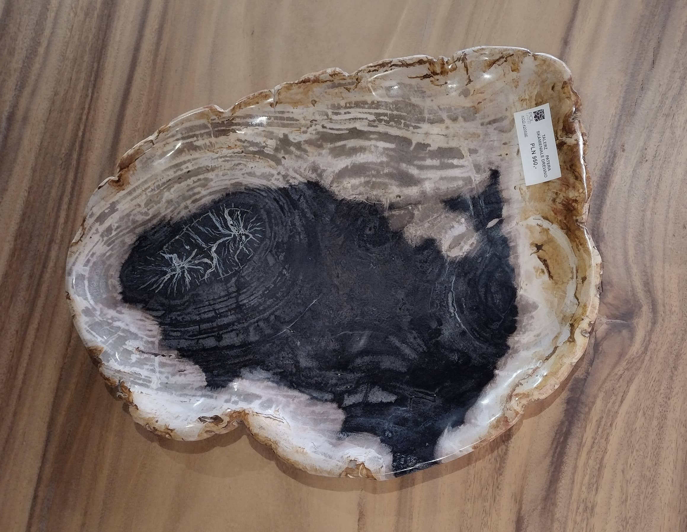 Patera #42069E Patera #42069E
