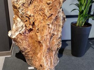 Skamielina #36090