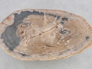 Stolik kawowy skamieniałe drewno #43196 Stolik kawowy skamieniałe drewno #43196