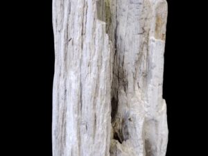 Skamielina # 36071