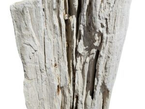Skamielina # 35051