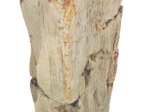 Skamielina # 39034