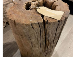 Driftwood #11535
