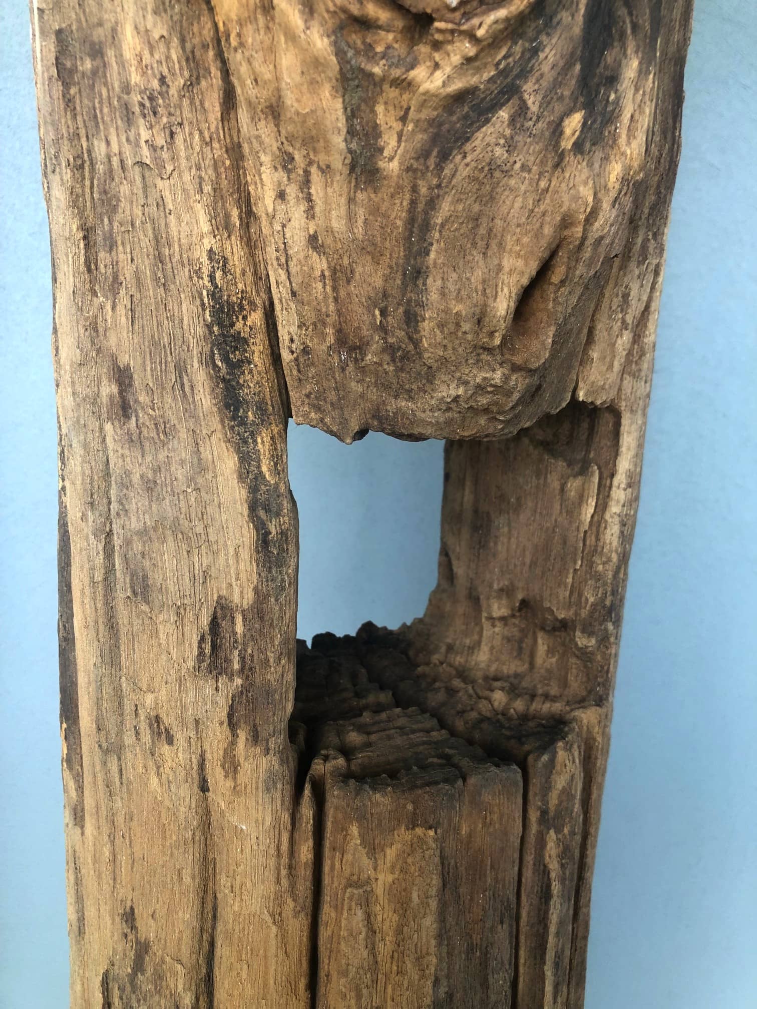 Driftwood #11628 Driftwood #11628