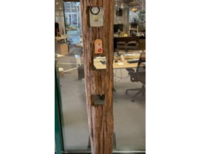 Driftwood #11628