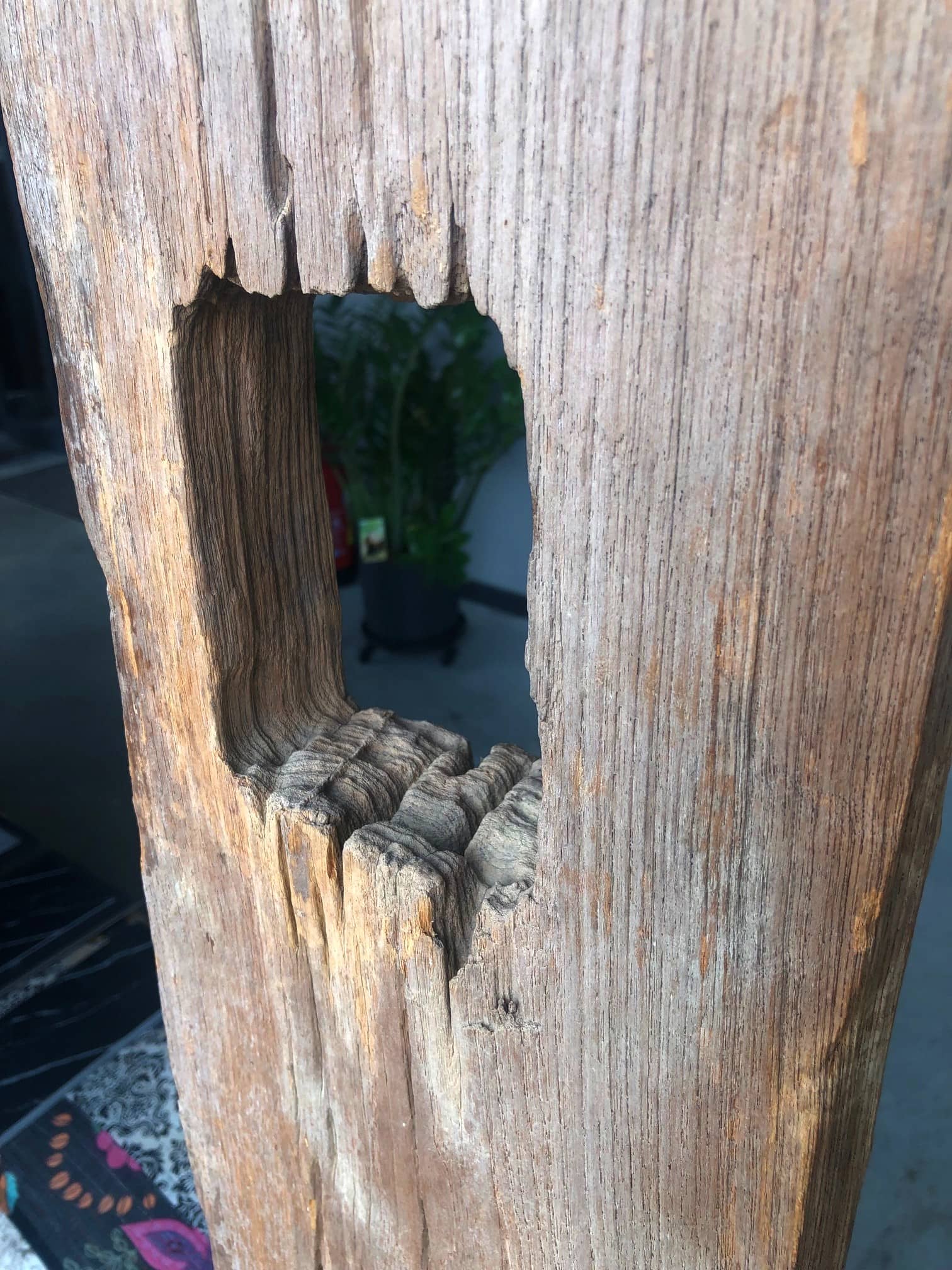 Driftwood #11628 Driftwood #11628