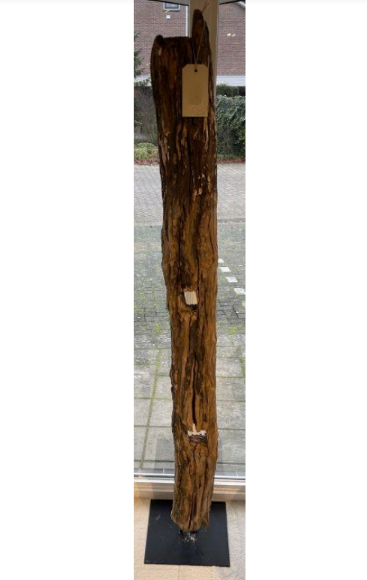 Driftwood #11635 Driftwood #11635