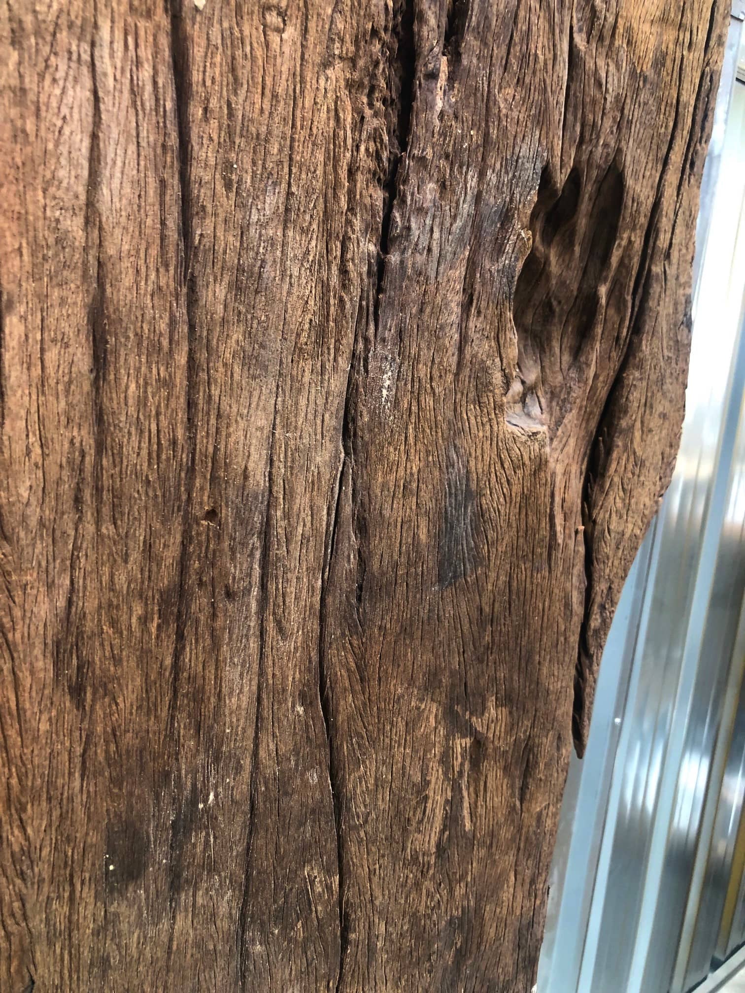Driftwood #12742 Driftwood #12742