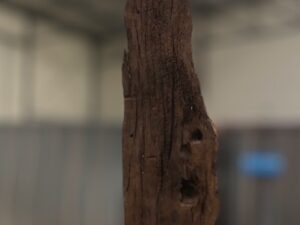 Driftwood #12742