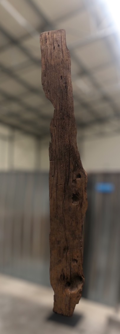 Driftwood #12742 Driftwood #12742