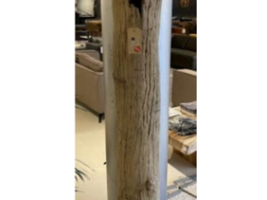 Driftwood #12772