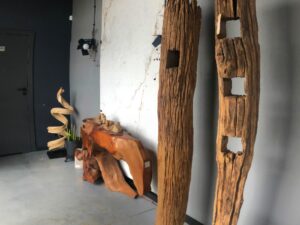 Dekoracja z pnia driftwood #12780