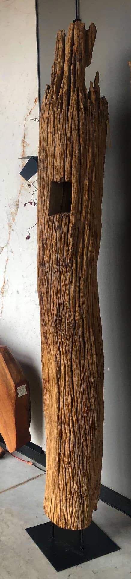 Dekoracja z pnia driftwood #12780 Dekoracja z pnia driftwood #12780