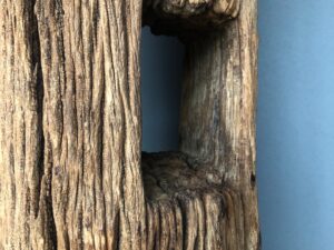 Dekoracja z pnia driftwood #12780