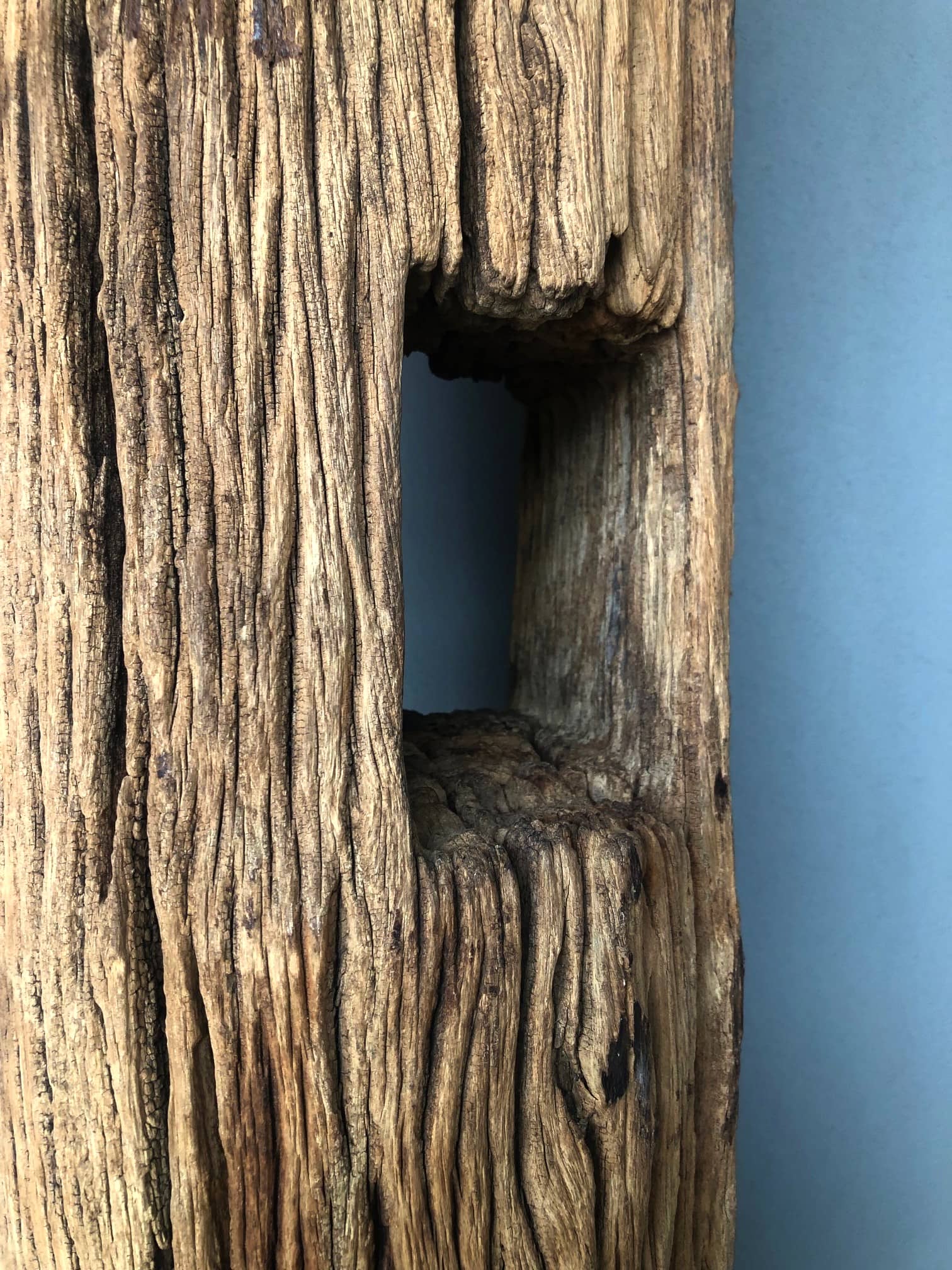 Dekoracja z pnia driftwood #12780 Dekoracja z pnia driftwood #12780