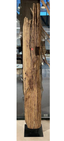 Dekoracja z pnia driftwood #12780 Dekoracja z pnia driftwood #12780