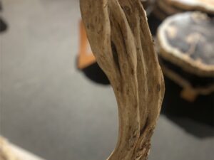 Dekoracja z liany driftwood #24588c