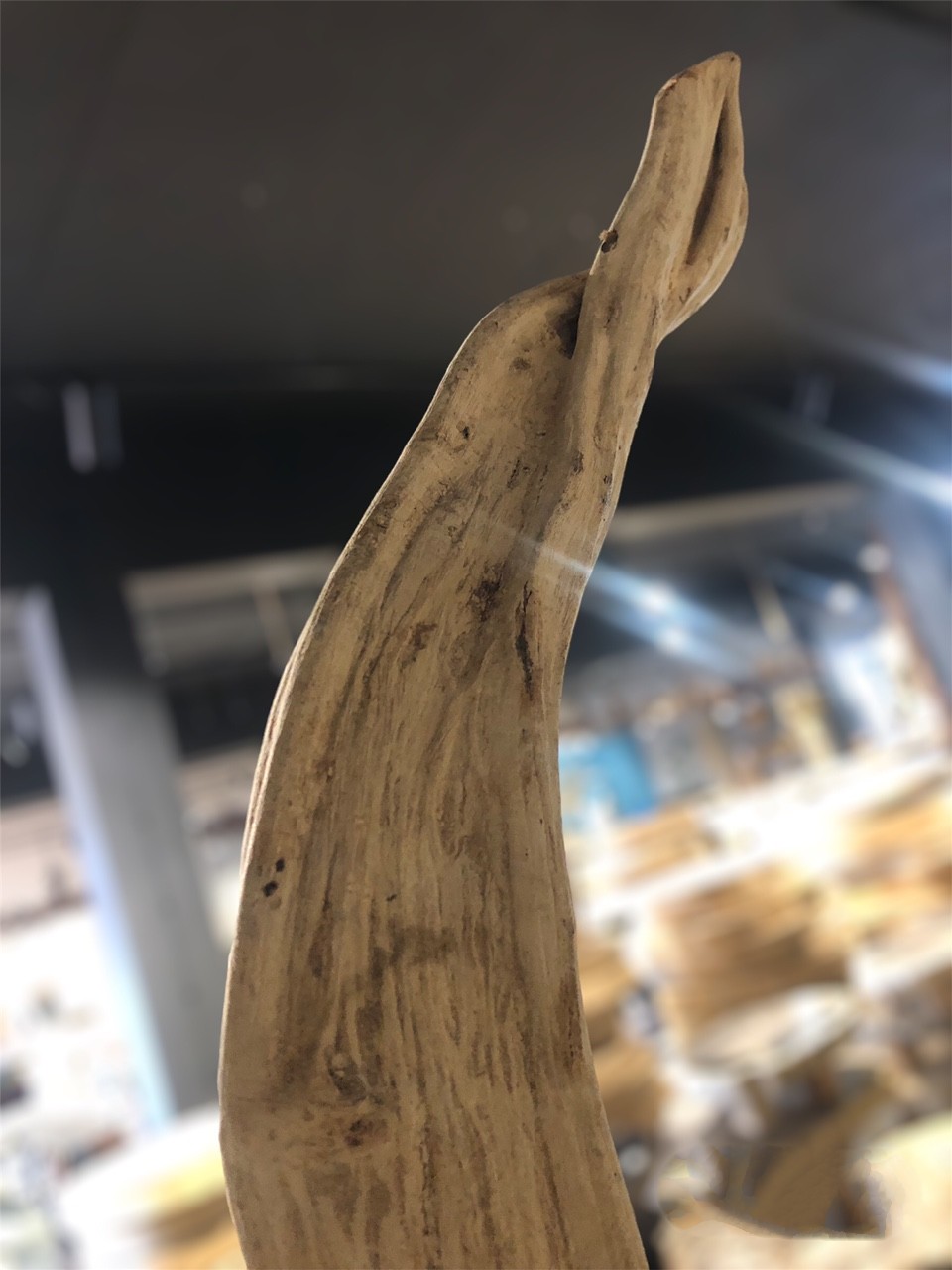 Dekoracja z liany driftwood #24588c Dekoracja z liany driftwood #24588c