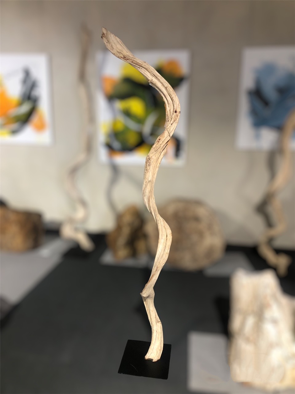Dekoracja z liany driftwood #24588c Dekoracja z liany driftwood #24588c