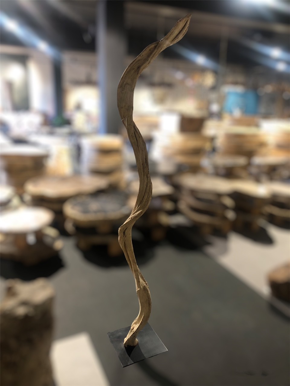 Dekoracja z liany driftwood #24588c Dekoracja z liany driftwood #24588c