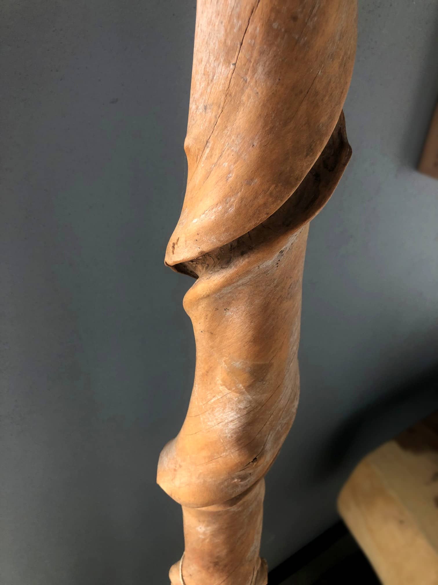 Dekoracja z pnia driftwood #25531 Dekoracja z pnia driftwood #25531