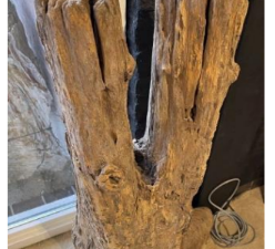 Driftwood #25539