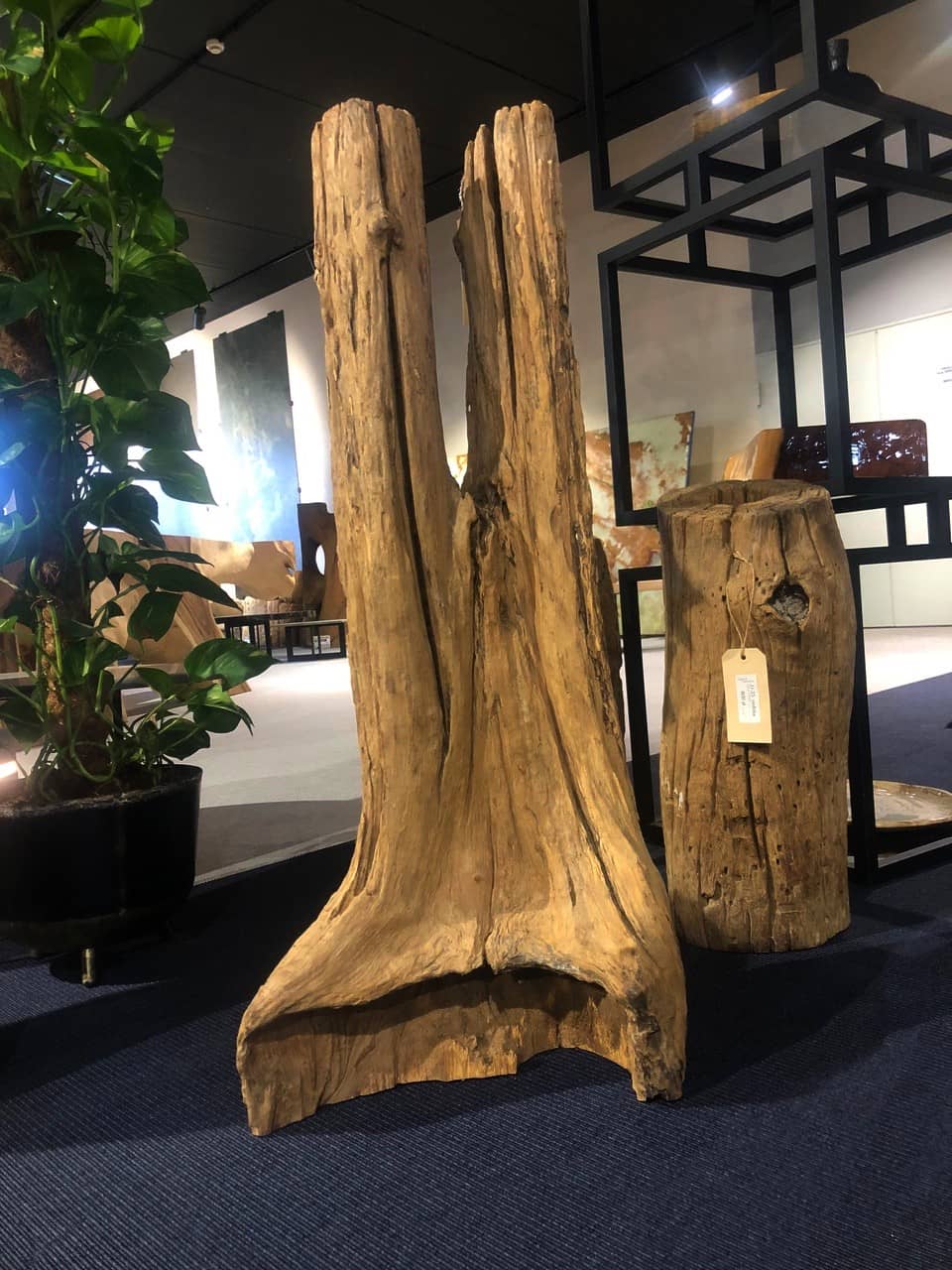 Driftwood #25539 Driftwood #25539