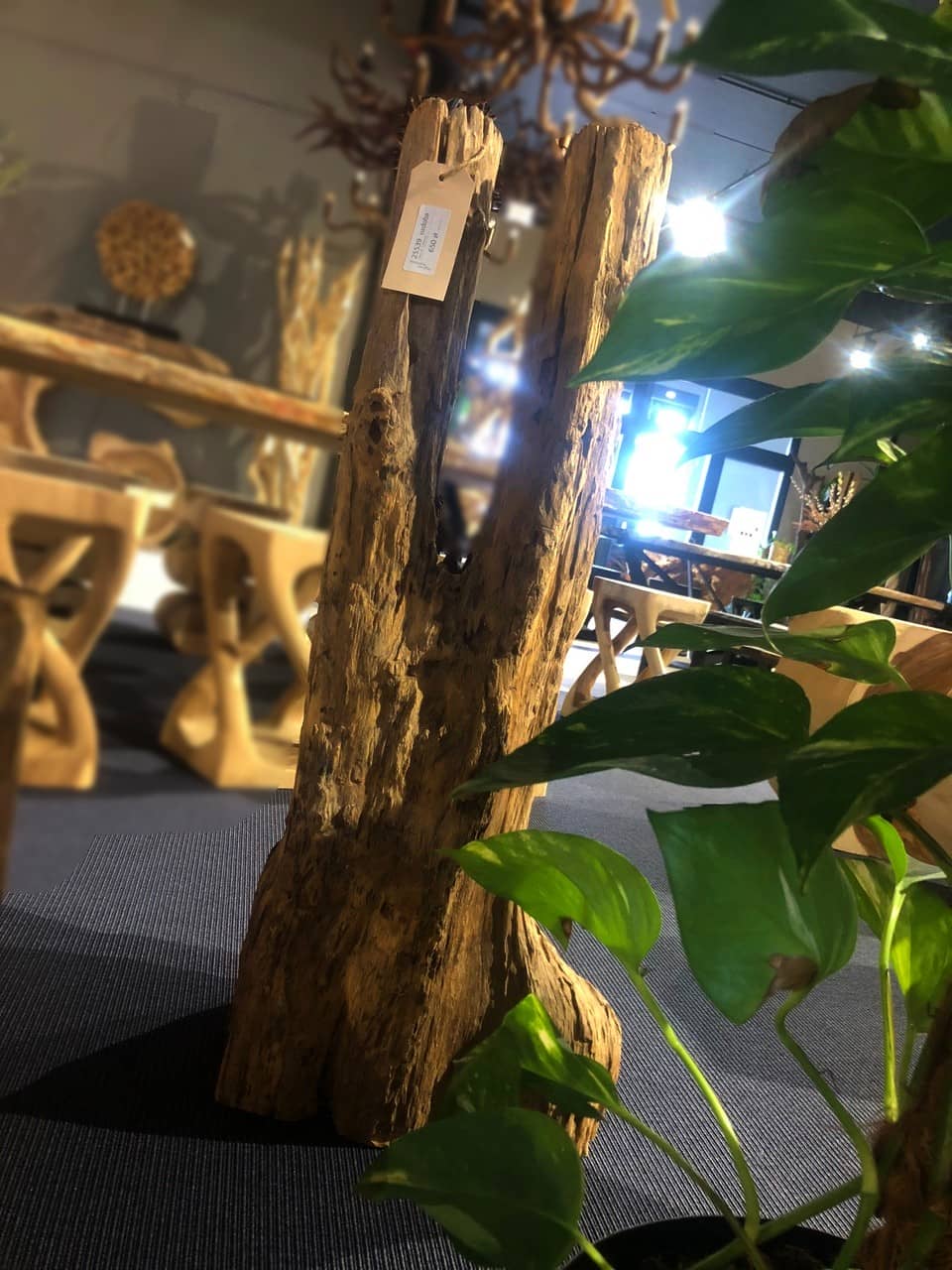 Driftwood #25539 Driftwood #25539
