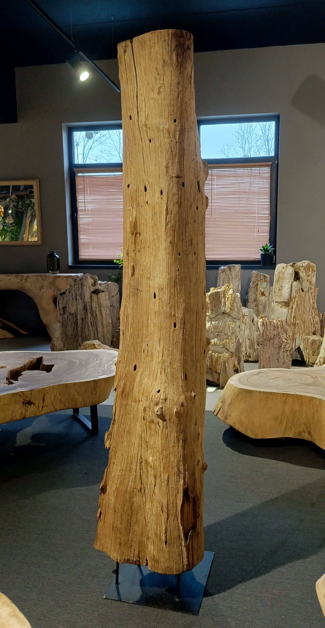 Driftwood #12770 Driftwood #12770