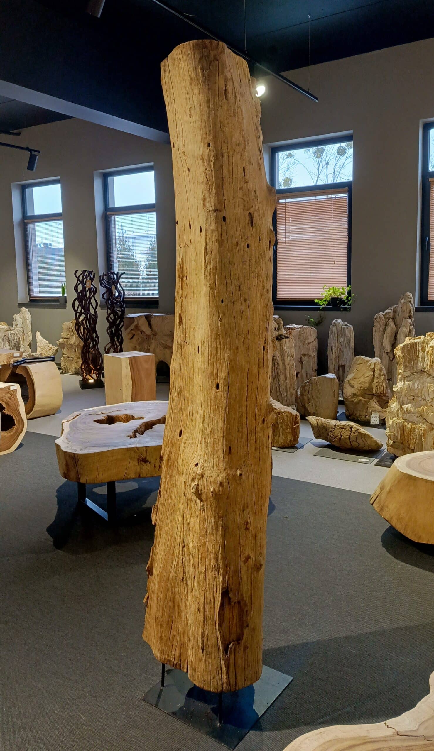 Driftwood #12770 Driftwood #12770