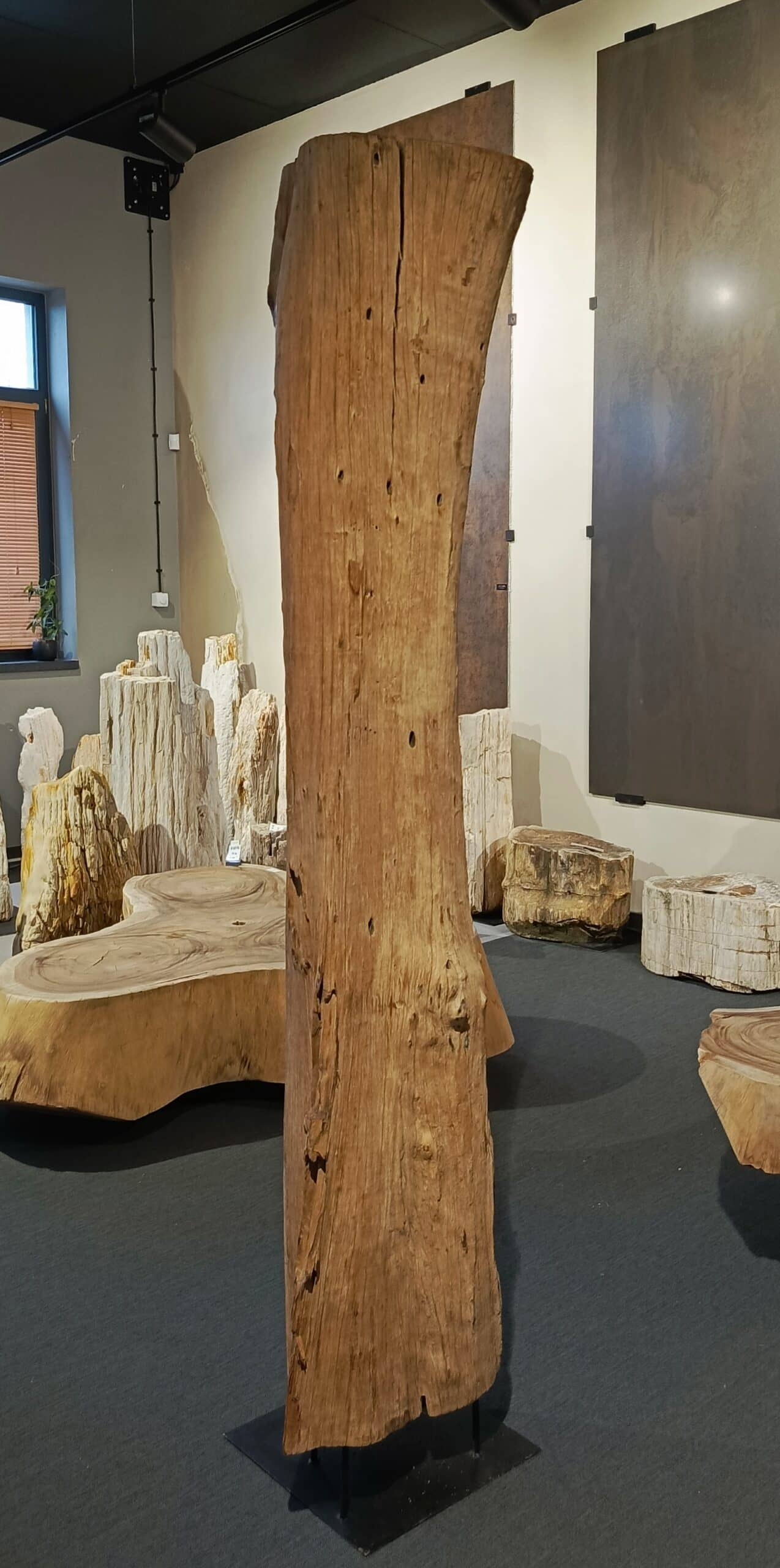 Driftwood #12770 Driftwood #12770