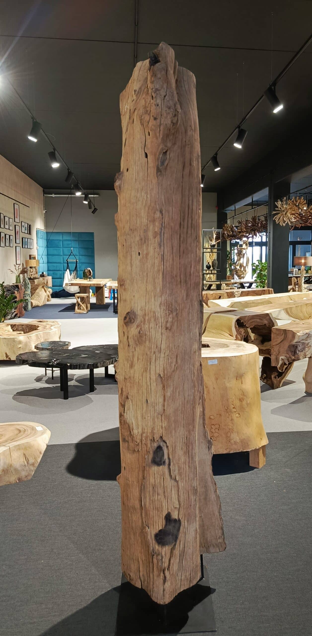 Driftwood #12770 Driftwood #12770