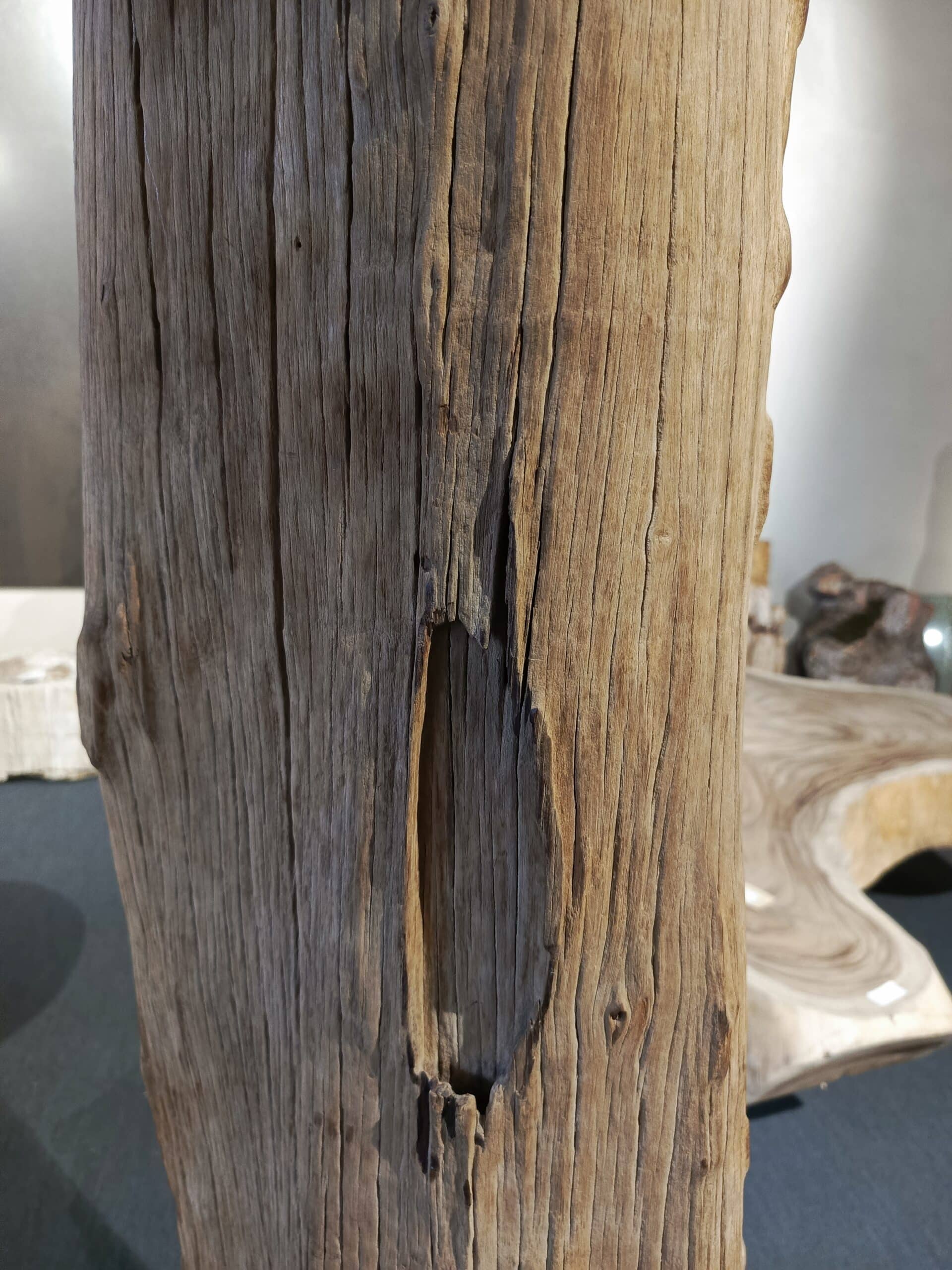 Driftwood #12770 Driftwood #12770