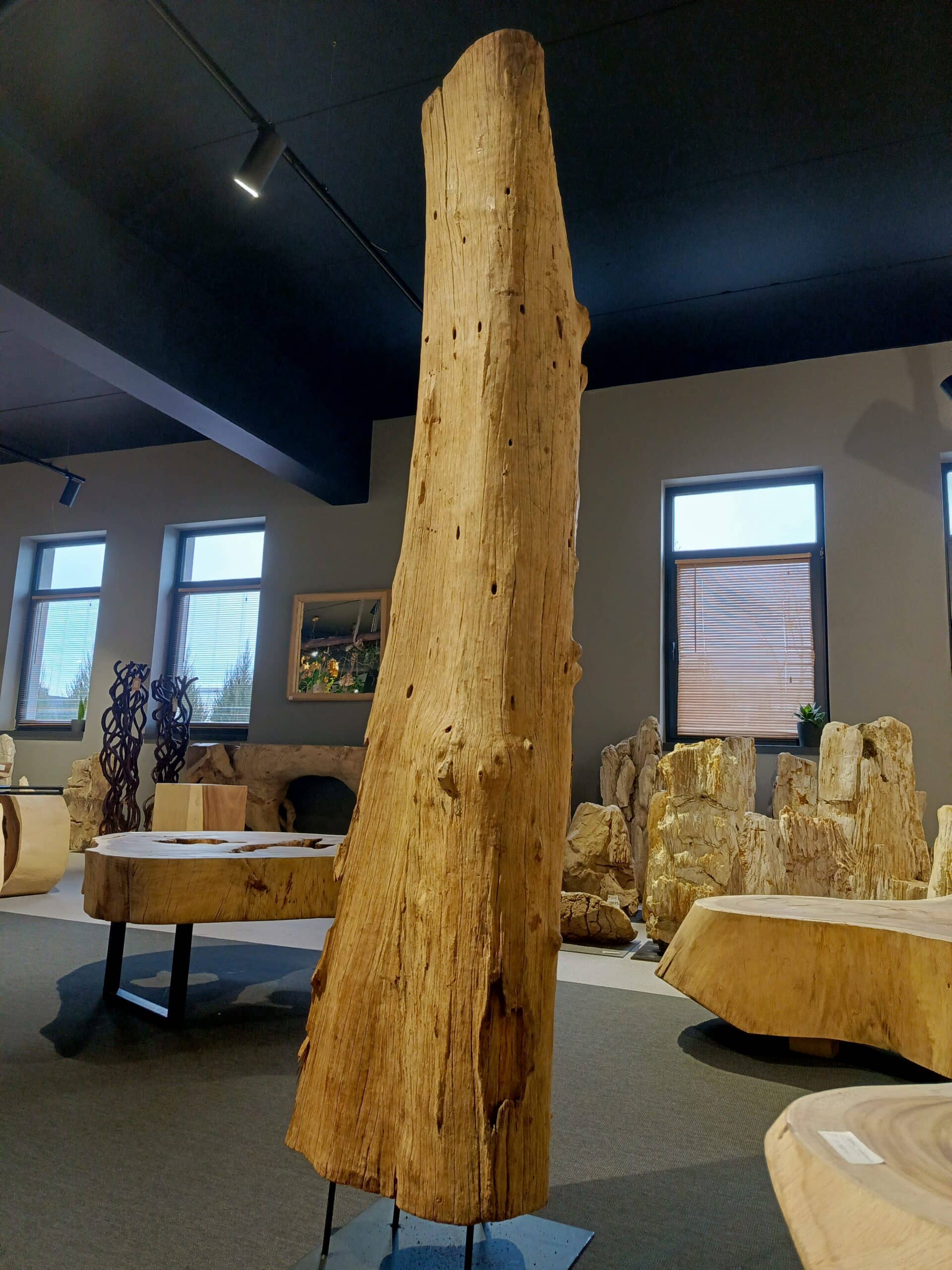 Driftwood #12770 Driftwood #12770