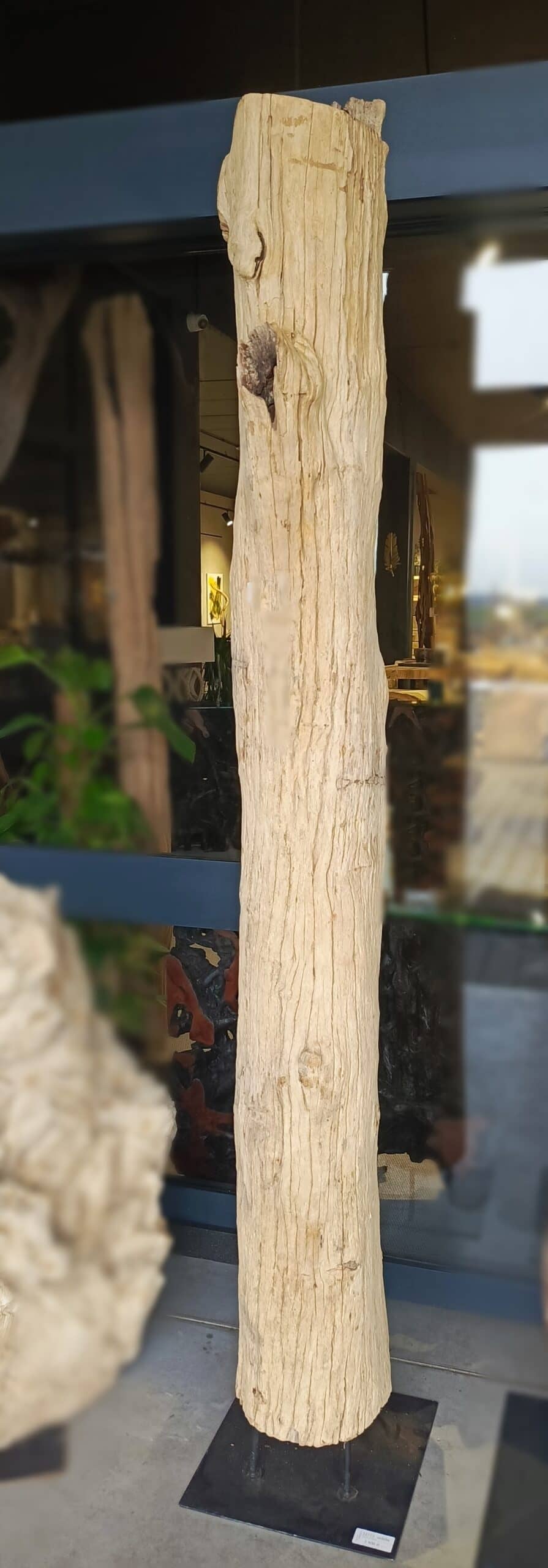 Driftwood #12772 Driftwood #12772