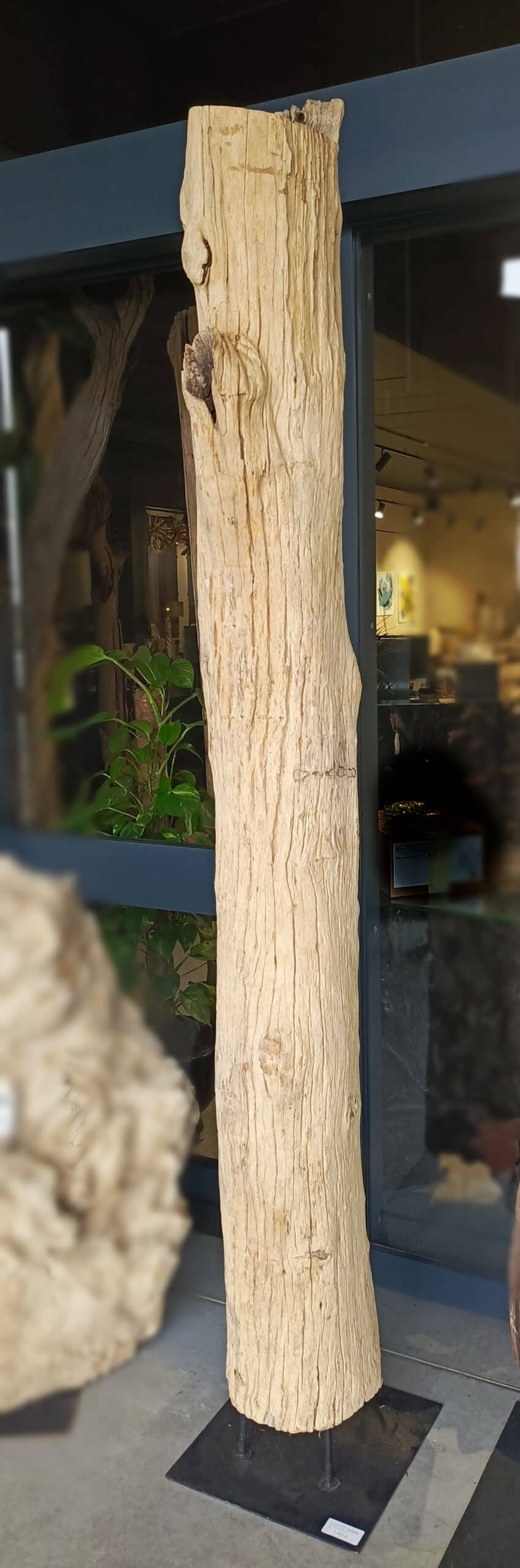 Driftwood #12772 Driftwood #12772
