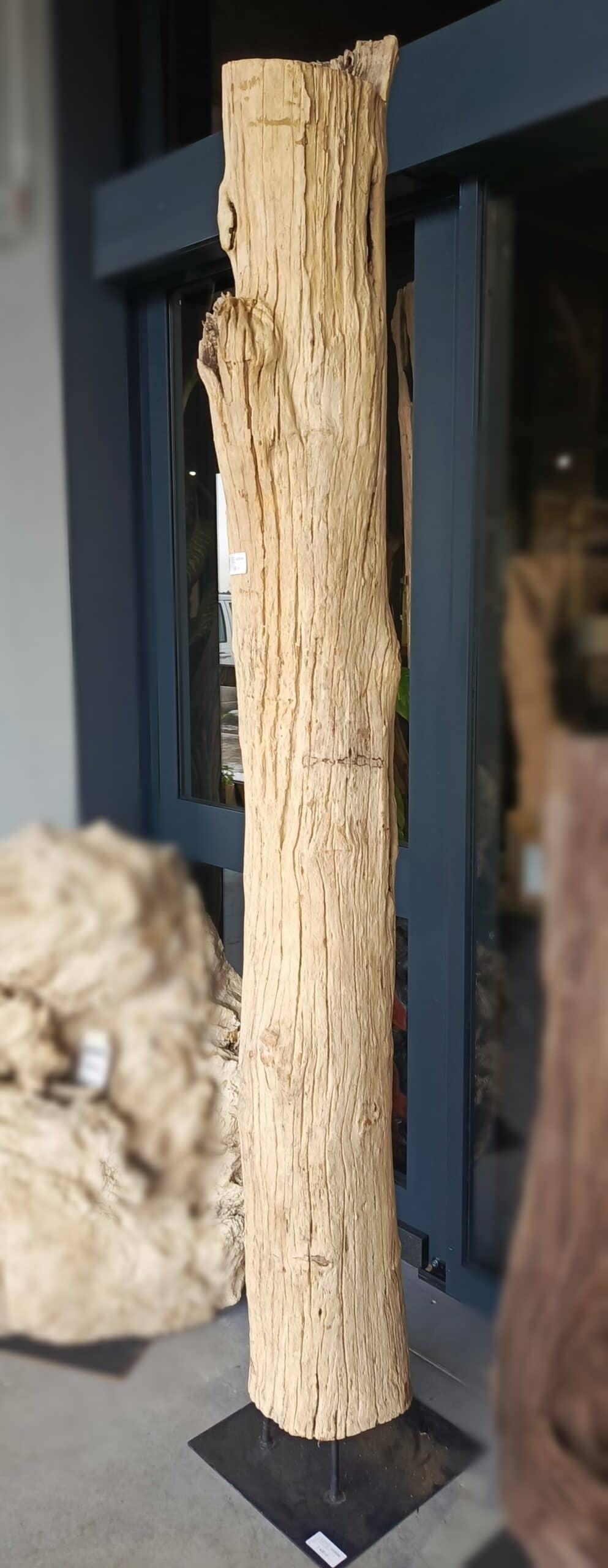 Driftwood #12772 Driftwood #12772