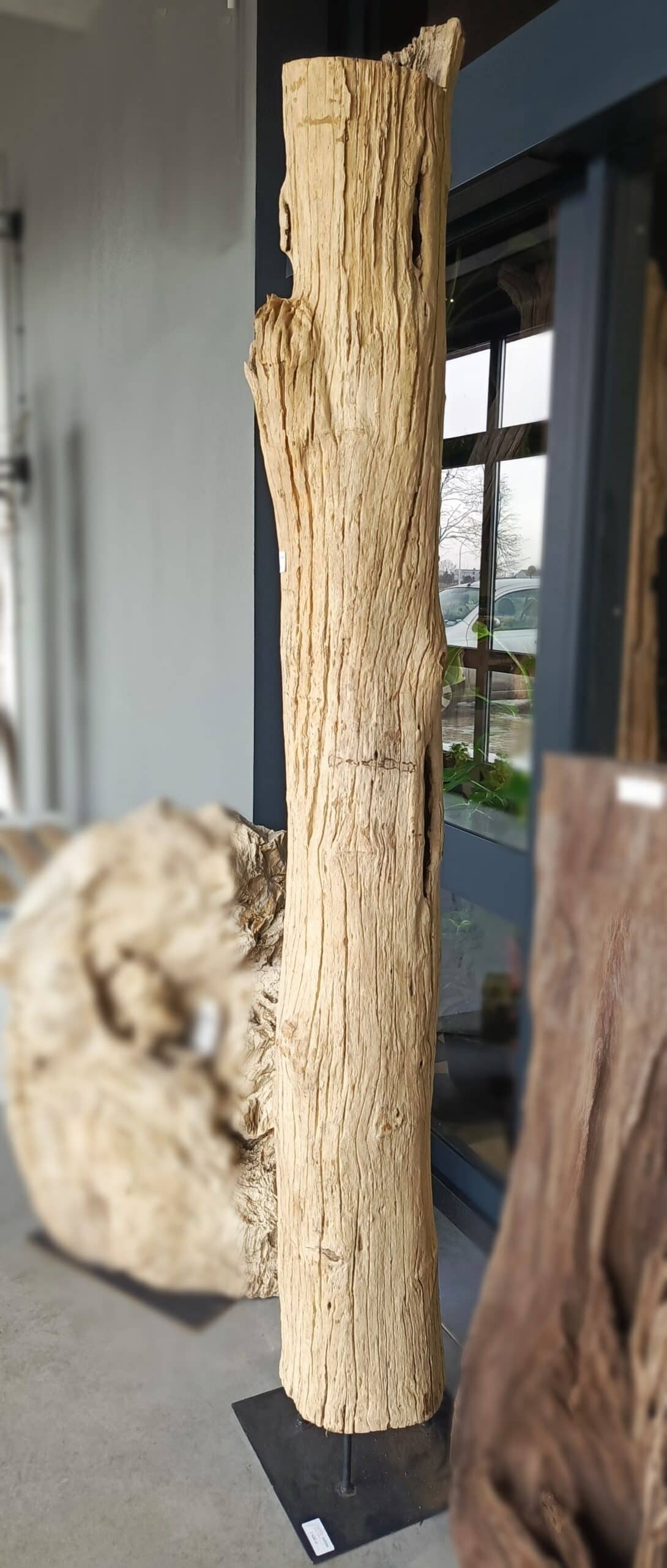 Driftwood #12772 Driftwood #12772