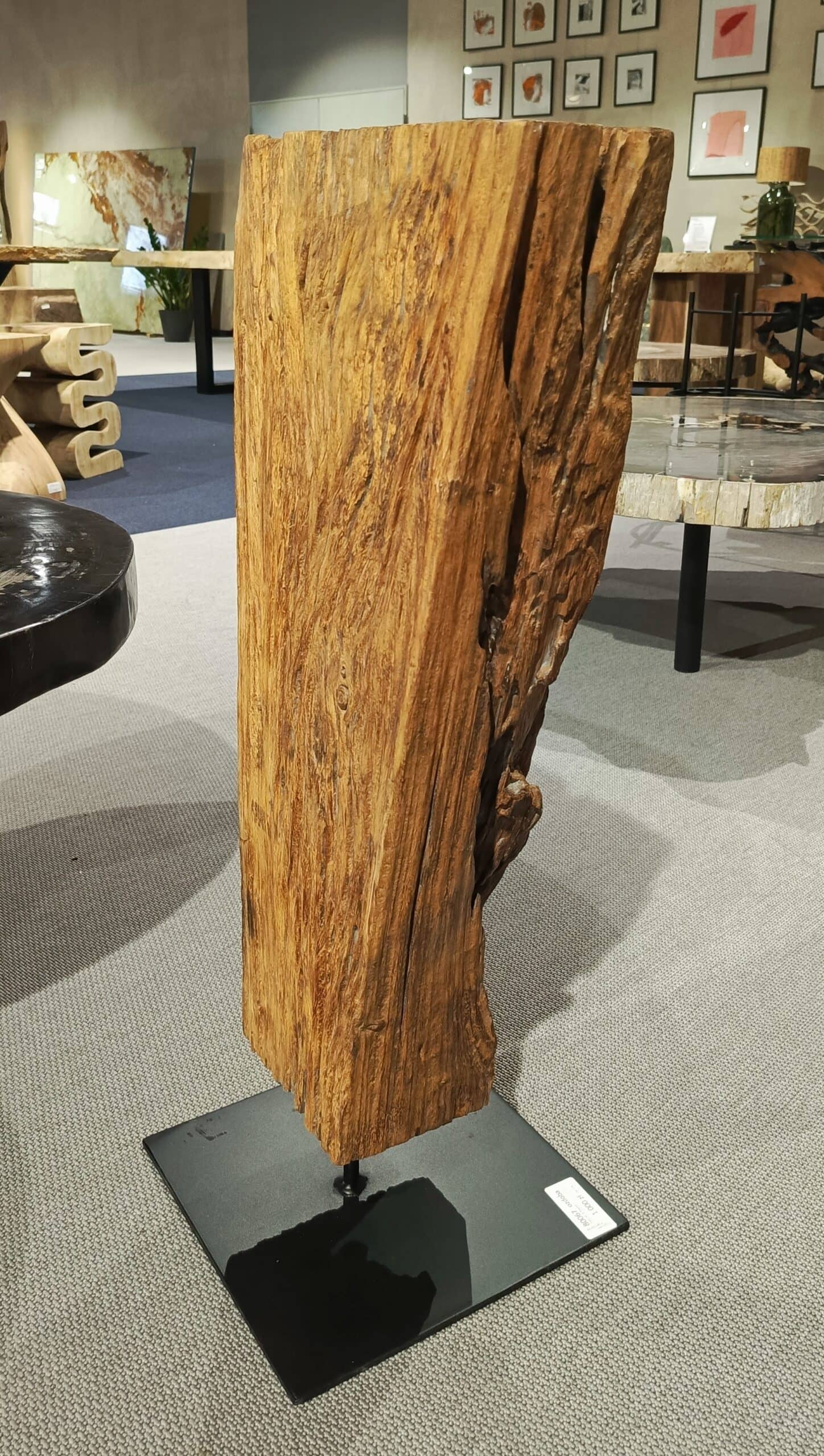 Dekoracja z pnia driftwood #80067 Dekoracja z pnia driftwood #80067