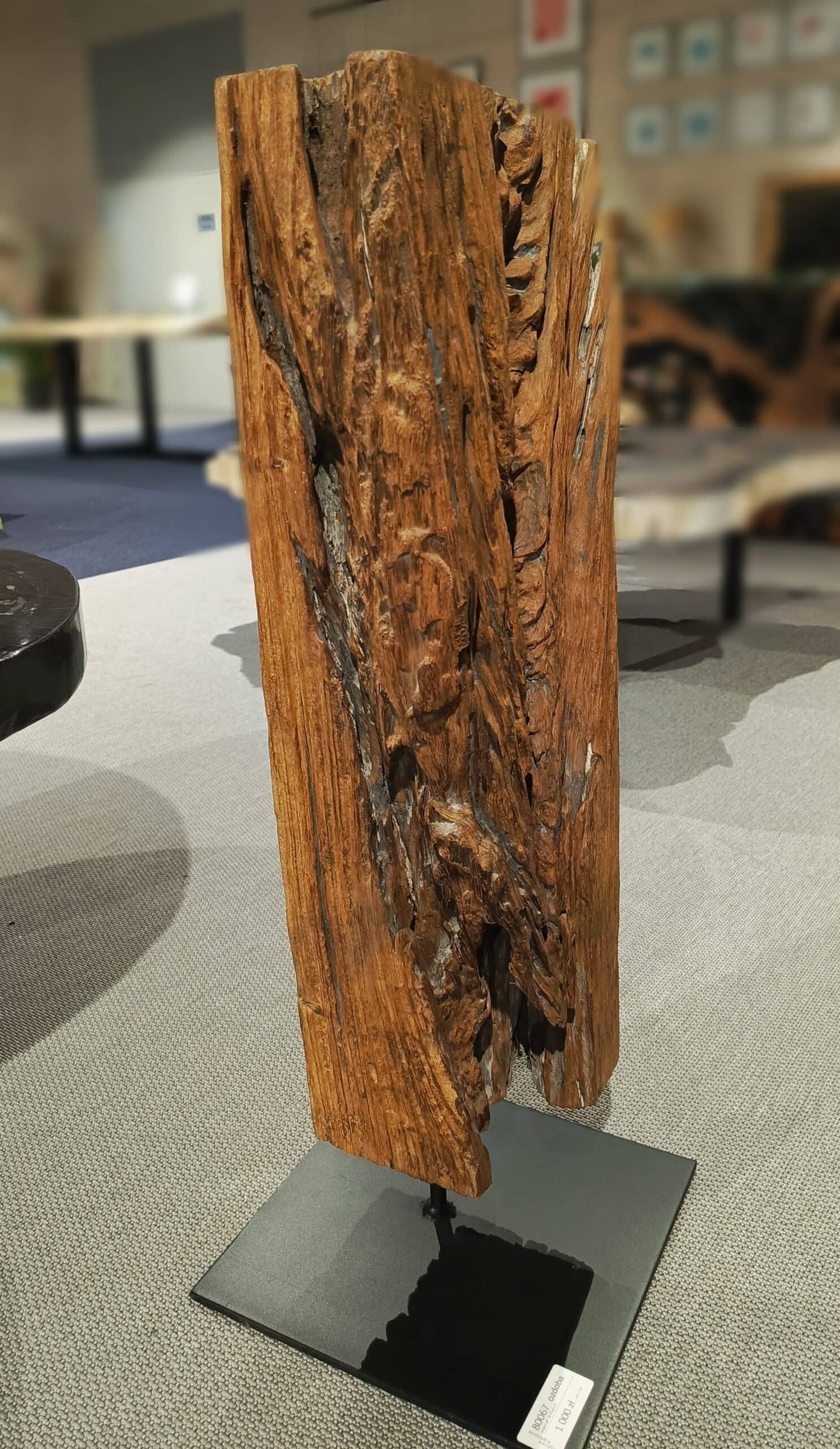 Dekoracja z pnia driftwood #80067 Dekoracja z pnia driftwood #80067