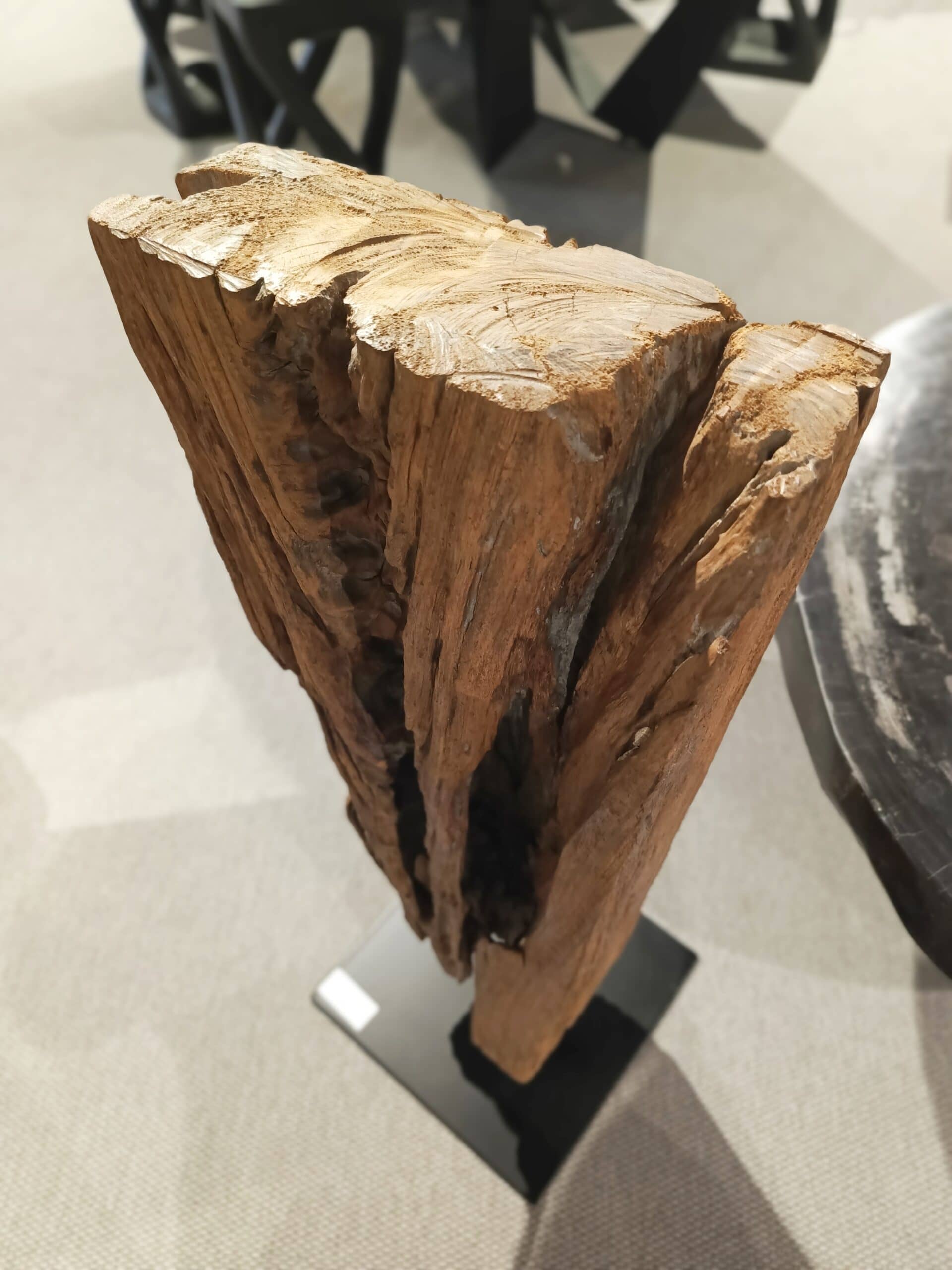 Dekoracja z pnia driftwood #80067 Dekoracja z pnia driftwood #80067